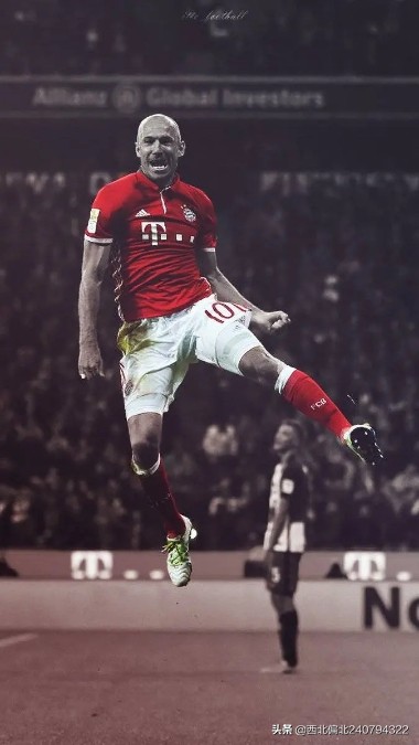 罗本退役足坛评论,罗本退役国家队