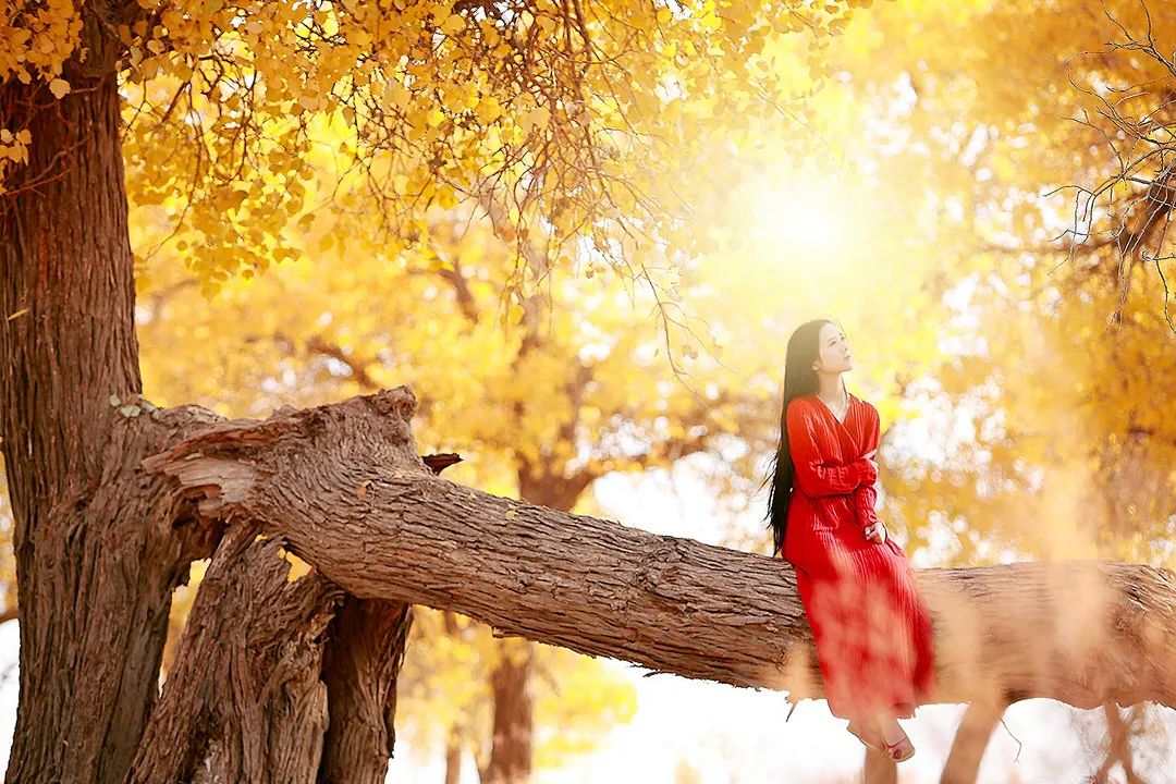 额济纳旗住宿一般多少钱,国庆额济纳旗胡杨林攻略