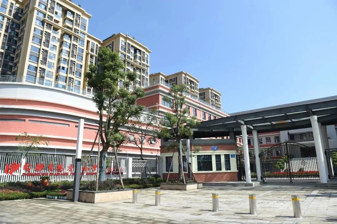 观看国礼之后的感想,国宾板块教育