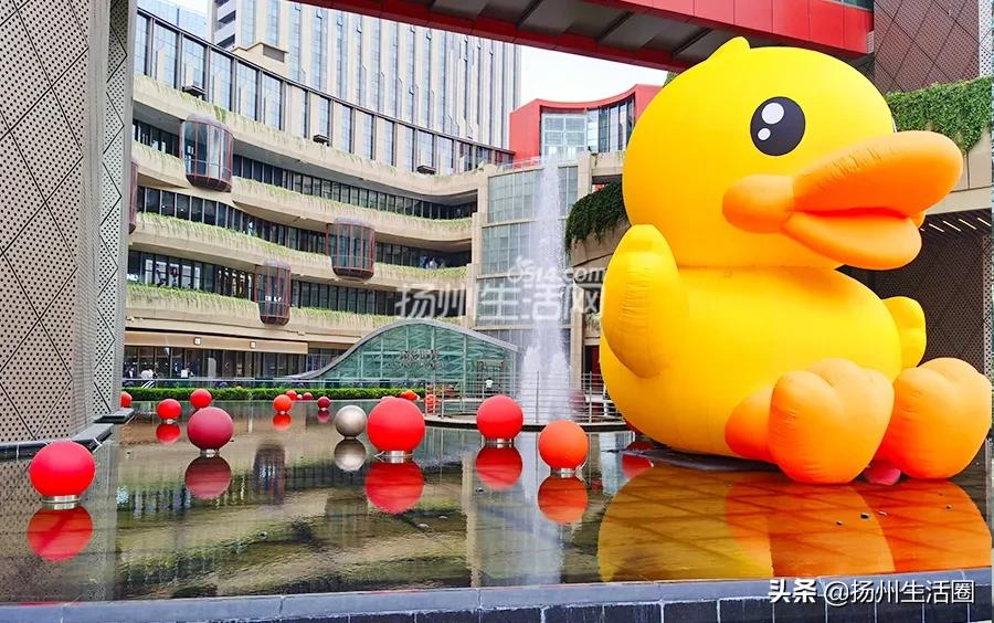 最新扬州东关街停车推荐,扬州打卡测评