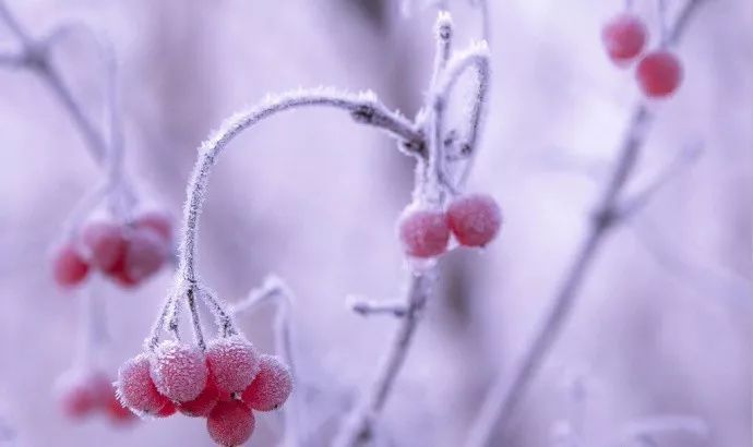 2019年冬至与今年为什么不同日子,2019年冬至距离现在还有多少天