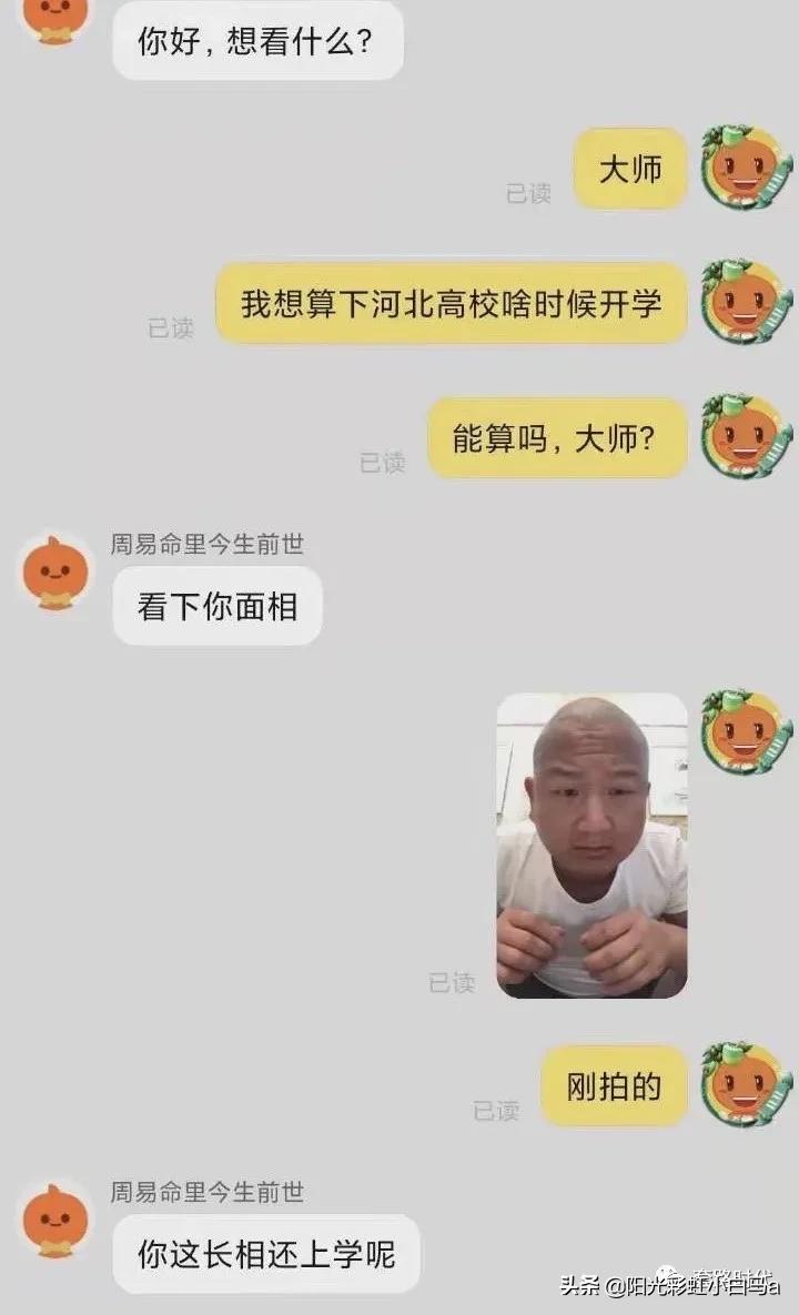 楼下的猫又开始叫了,楼下的猫一直在嗷嗷叫