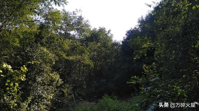 长沙谷山是坟山吗,长沙谷山原来是墓地吗