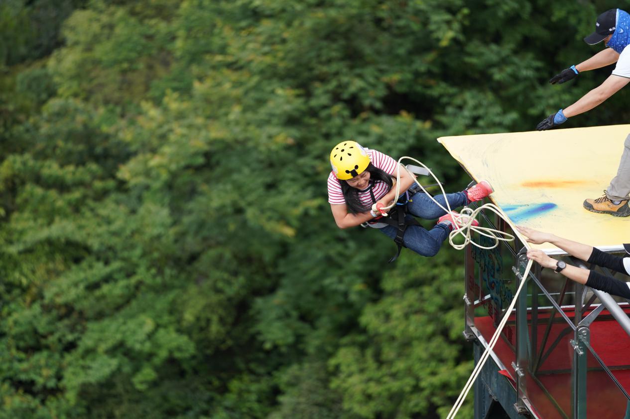 奥陶纪有哪些刺激的东西,奥陶纪最刺激项目