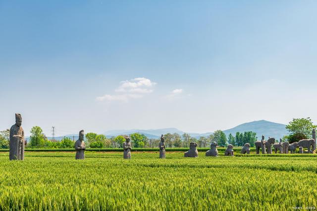 青梅暗恋竹马最后追妻火葬场,青梅暗恋竹马追妻火葬场小说