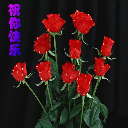 520动态表情图片大全,520表情图片大全2024