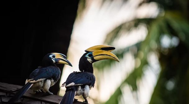 绿中海山水苑,绿中海