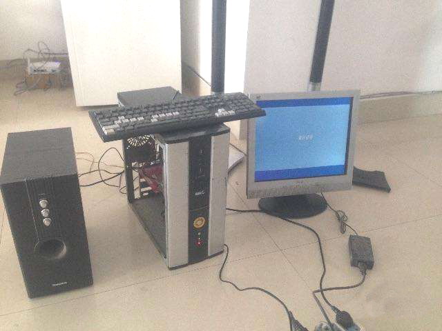 打不死的小强wwe,windowsxp落后不