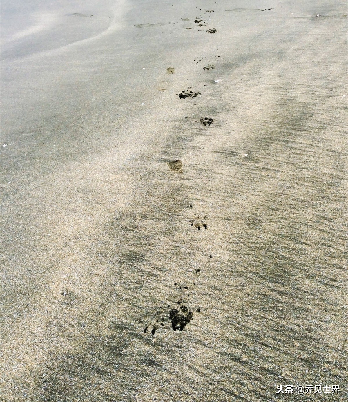 澳门值得打卡的景点,澳门打卡必去景点晚上