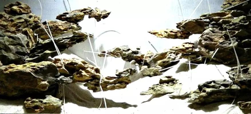 草缸造景教程:胶水造景太温柔,男人就该上电钻