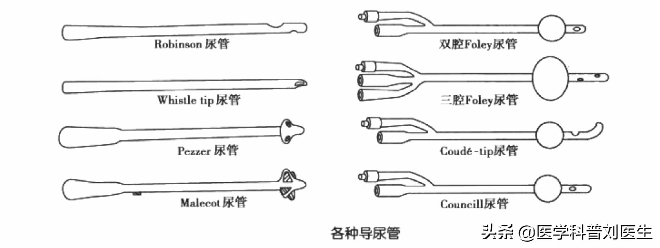 如何关注男性健康,疏通尿管的最好方法