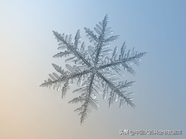 每一片飘落的雪花都是记忆,每一片飘落的雪花都是独一无二的