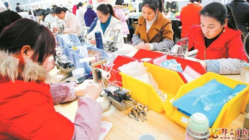 「十堰」谁说女子不如男!郧西凝聚“巾帼”力量助力脱贫攻坚