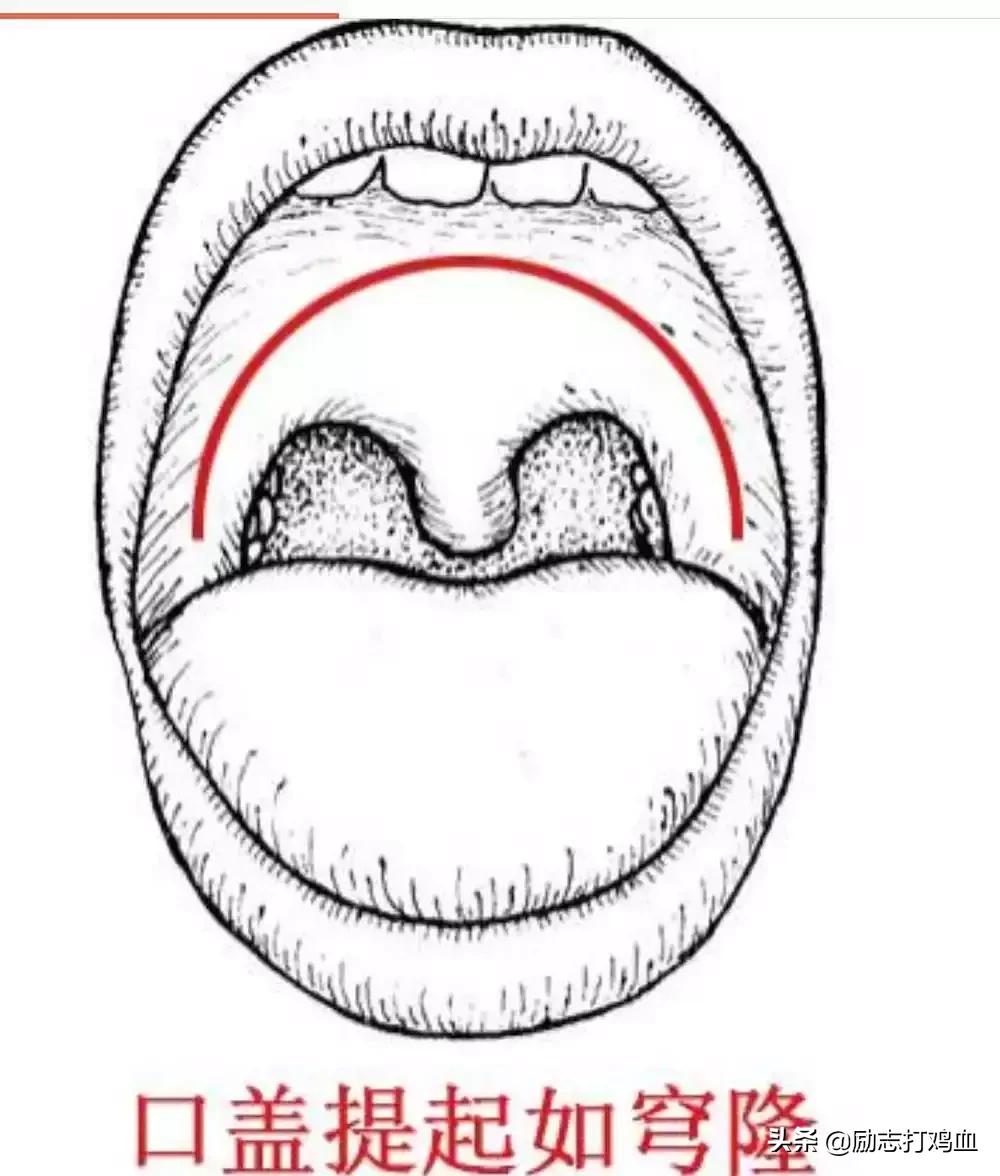 笔记整理方法高颜值,零基础好声音学习步骤