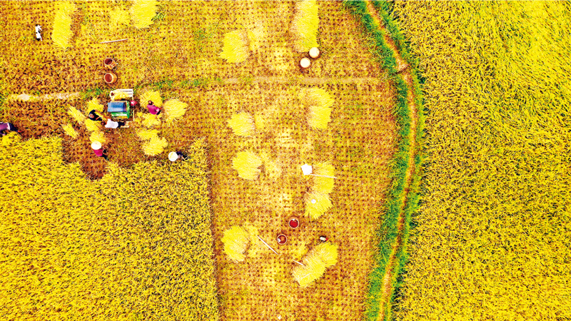 解决了中国人吃饭的问题,真正解决中国温饱问题的人