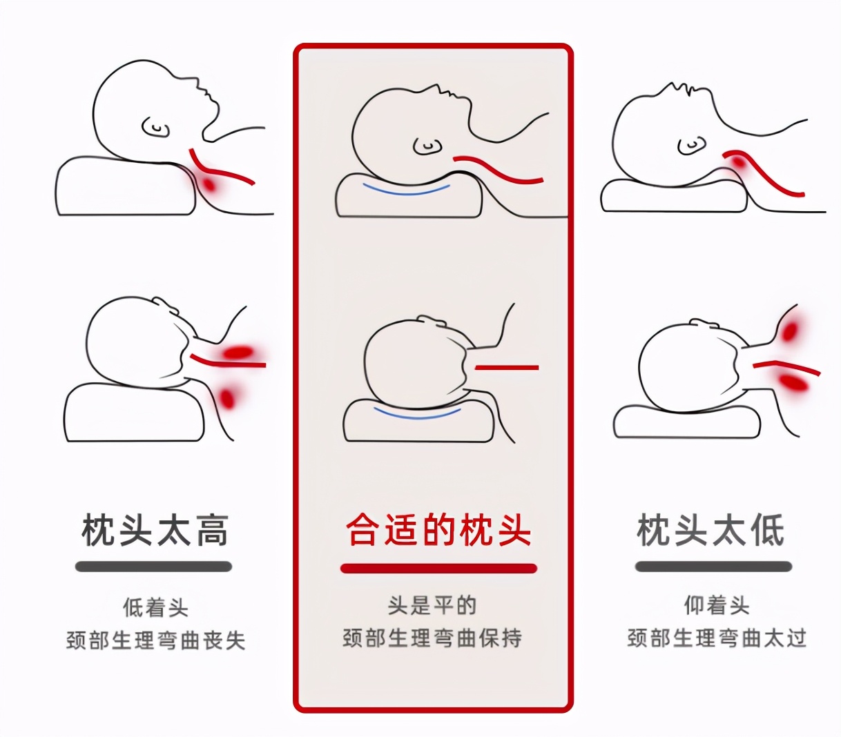 羽绒枕头和荞麦枕哪个好,五星级酒店用的羽绒枕还是蚕丝枕