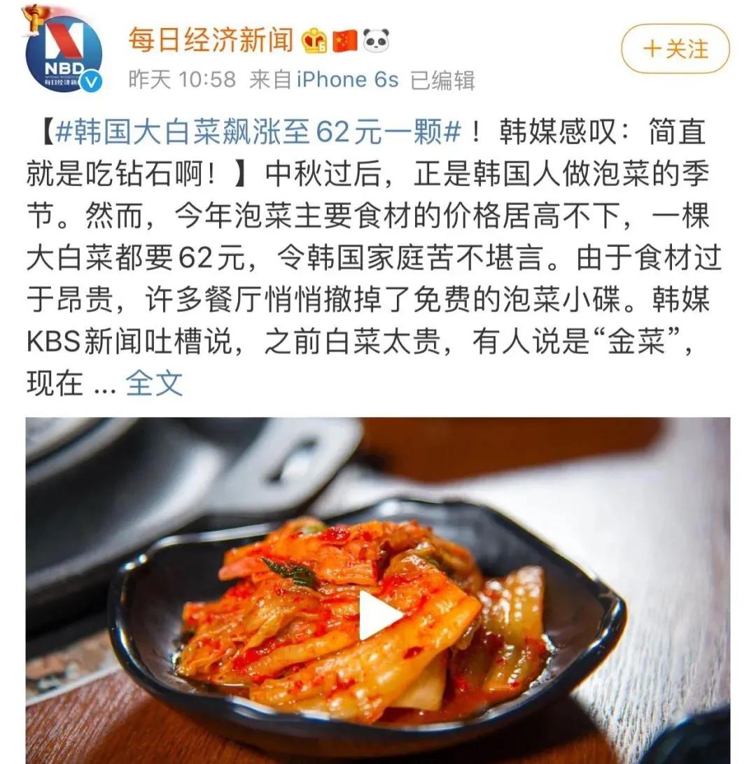 一颗白菜卖60多块钱！拯救韩国人今年的餐桌，全靠山东寿光了