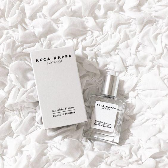 什么香水适合有气质清冷的女生 (平价小众高级清冷香水)