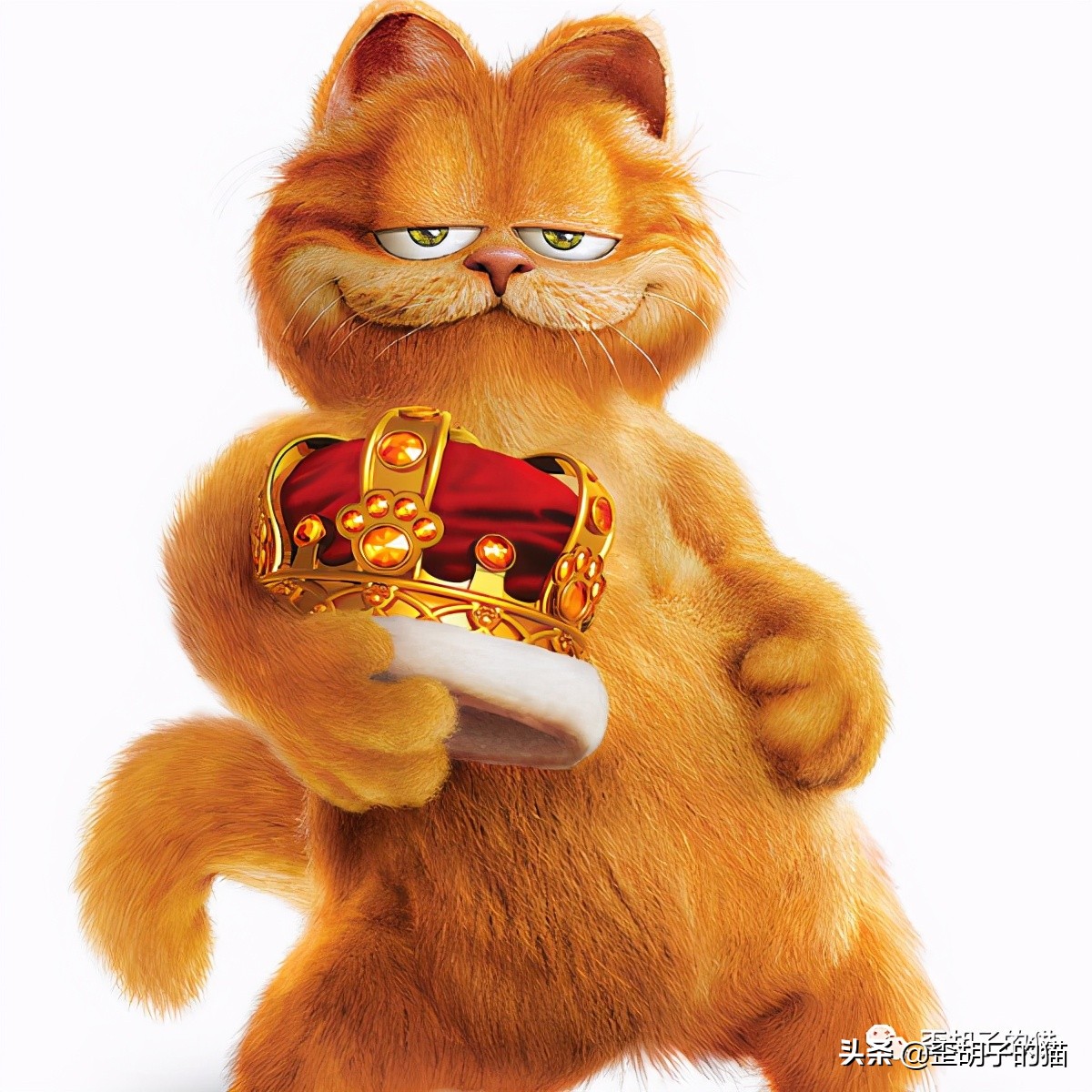 「歪胡子的猫」盘点中美日动漫中的猫咪现实中的样子