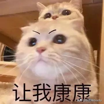 “抽过的烟头”、“半死不活的蚊子”，这些奇葩商品刷新网友三观