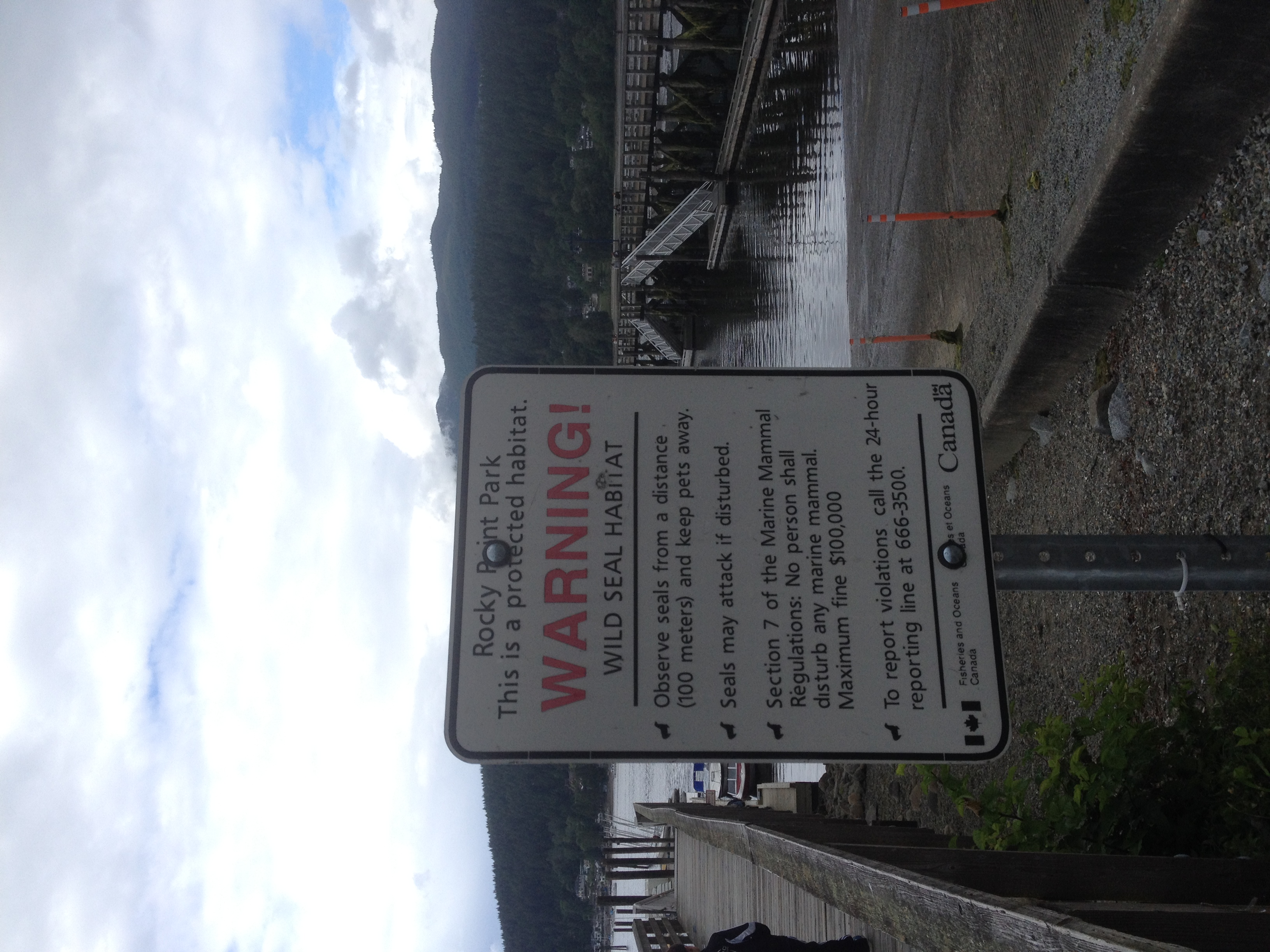 你们爱吃的“珍宝蟹”就是温哥华蟹,捕捞过程了解一下?