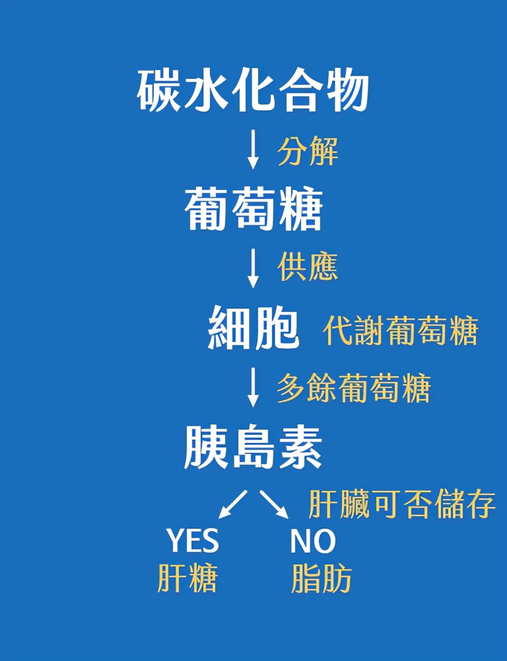 盘点热门减肥方法,盘点真实有效的减肥方法