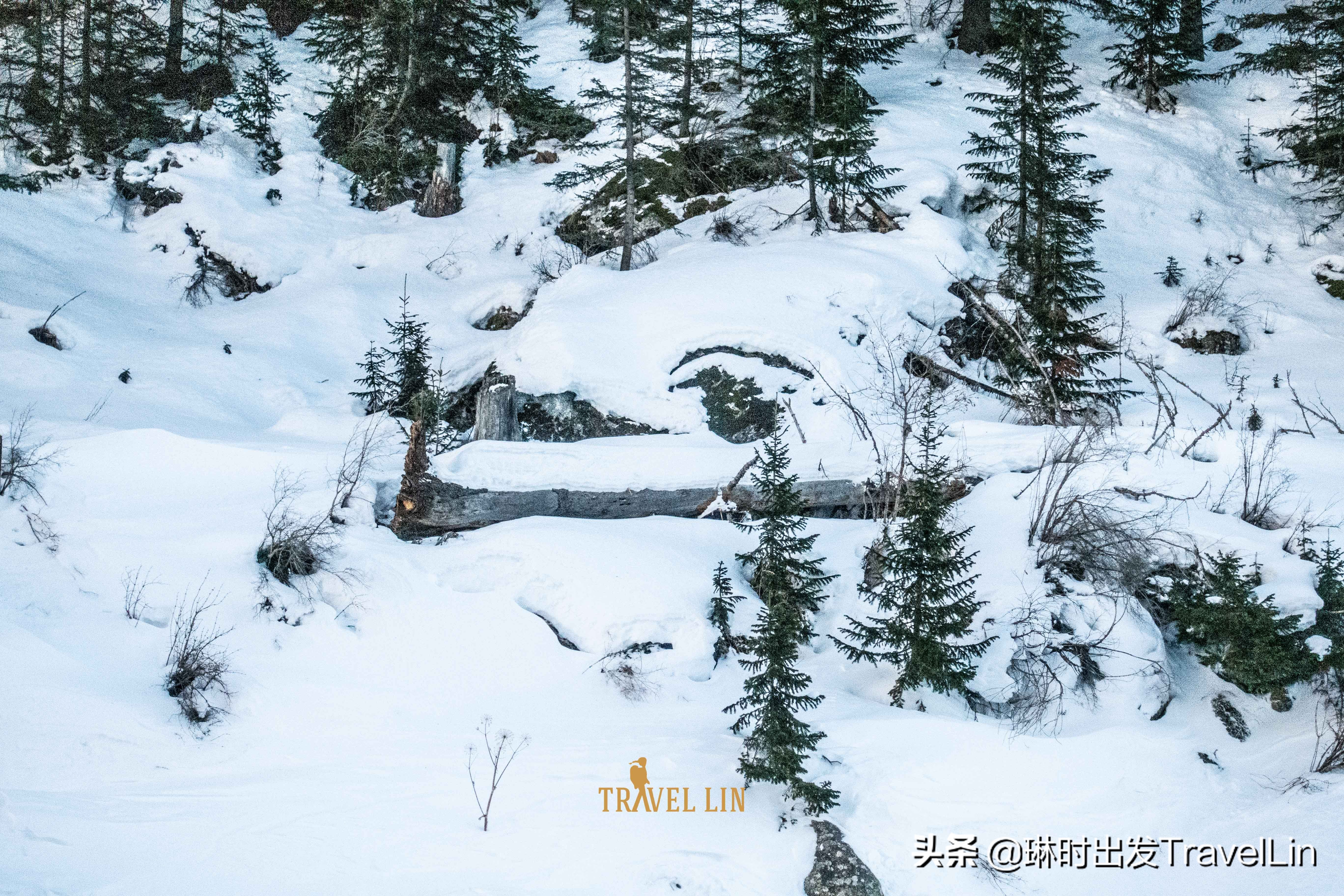 阿尔泰山野雪公园自由行热门攻略,阿尔泰山是中国最好的滑雪胜地