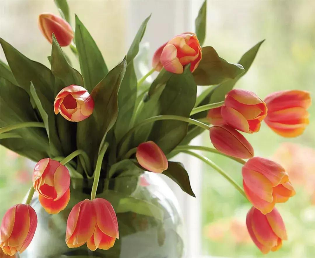 潘通流行色是怎么确定的,潘通官网2021流行色亮黄色