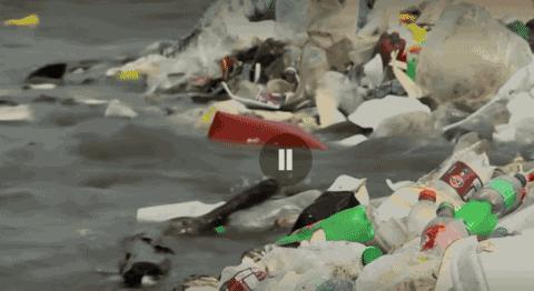 彭于晏苏有朋,彭于晏和苏有朋