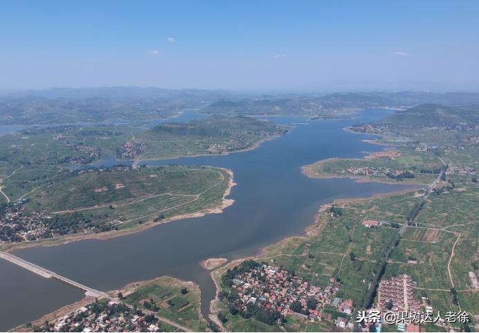 种植桃树的间距是很有讲究的,科学合理的种植模式