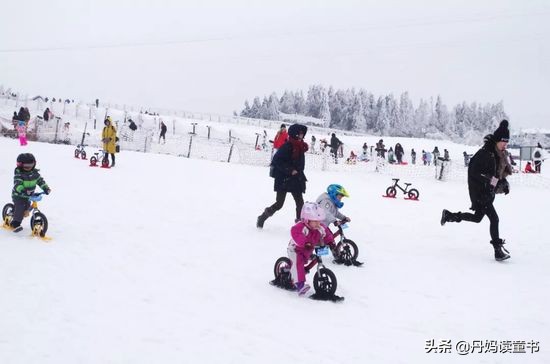 15款平衡车大摸底 (平衡车大摸底)