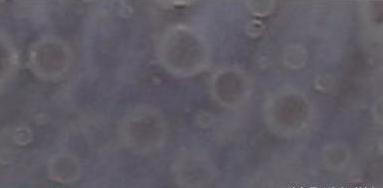 现代汝窑的最全鉴定方法,汝窑的最全鉴定方法