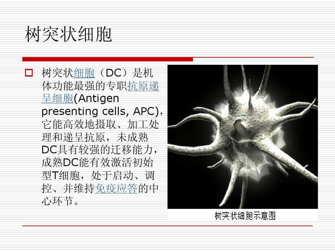 树状突细胞肉瘤治疗方案,树突状细胞肿瘤是什么