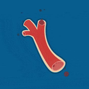 低压舒张压高,血压舒张压正常收缩压高是咋回事