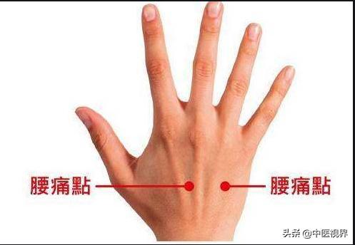 腰痛自己缓解法视频教程,腰间盘突出引起的腰痛自我练习