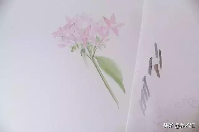 画一幅关于花的简单又好看的画,画一朵花怎么画好看