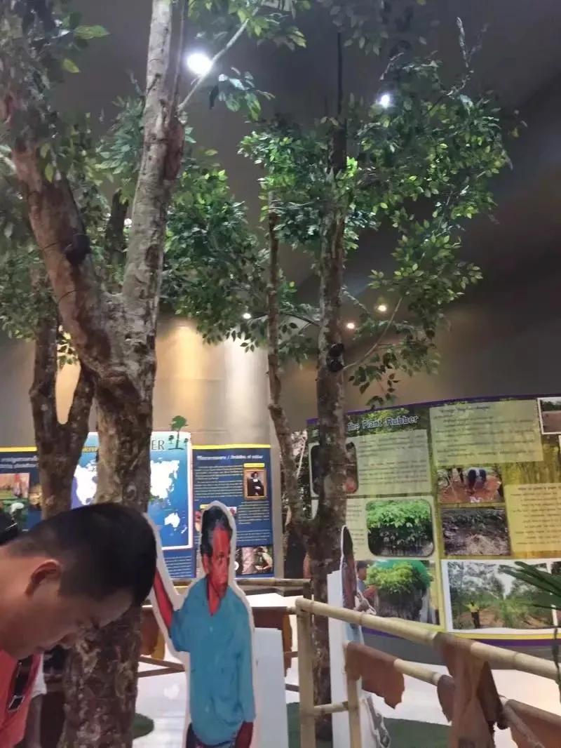 来普吉岛后感觉好难受,普吉岛最后一天购物