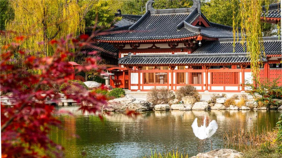 华清宫的初冬美景，惊艳了谁的时光？