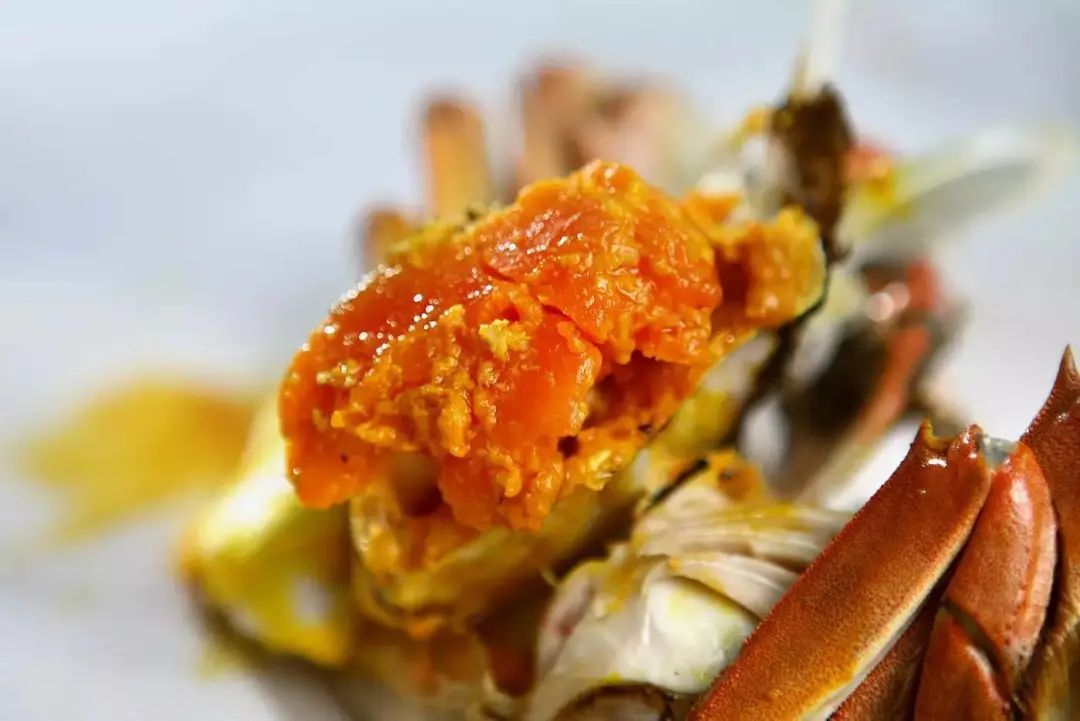 广东什么螃蟹好吃,广东什么螃蟹最多