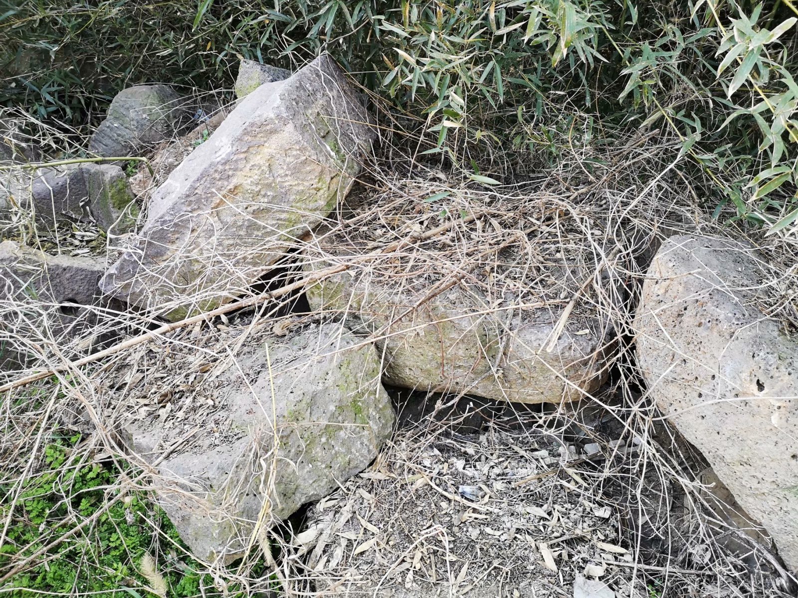 摩托周边旮旯游——探访明光法华禅庵塔