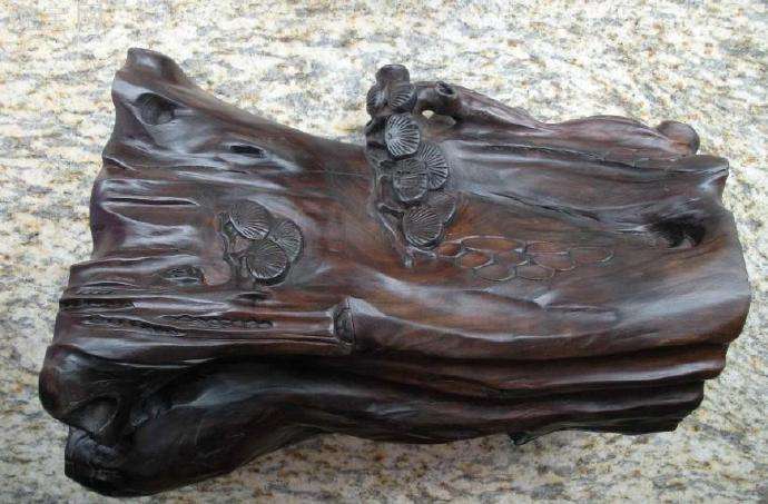 埋藏在地里千年阴沉木,农村里的宝藏植物