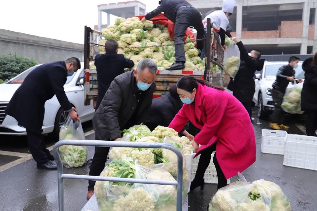 胃暖暖的很贴心是什么广告,胃暖暖的很舒服