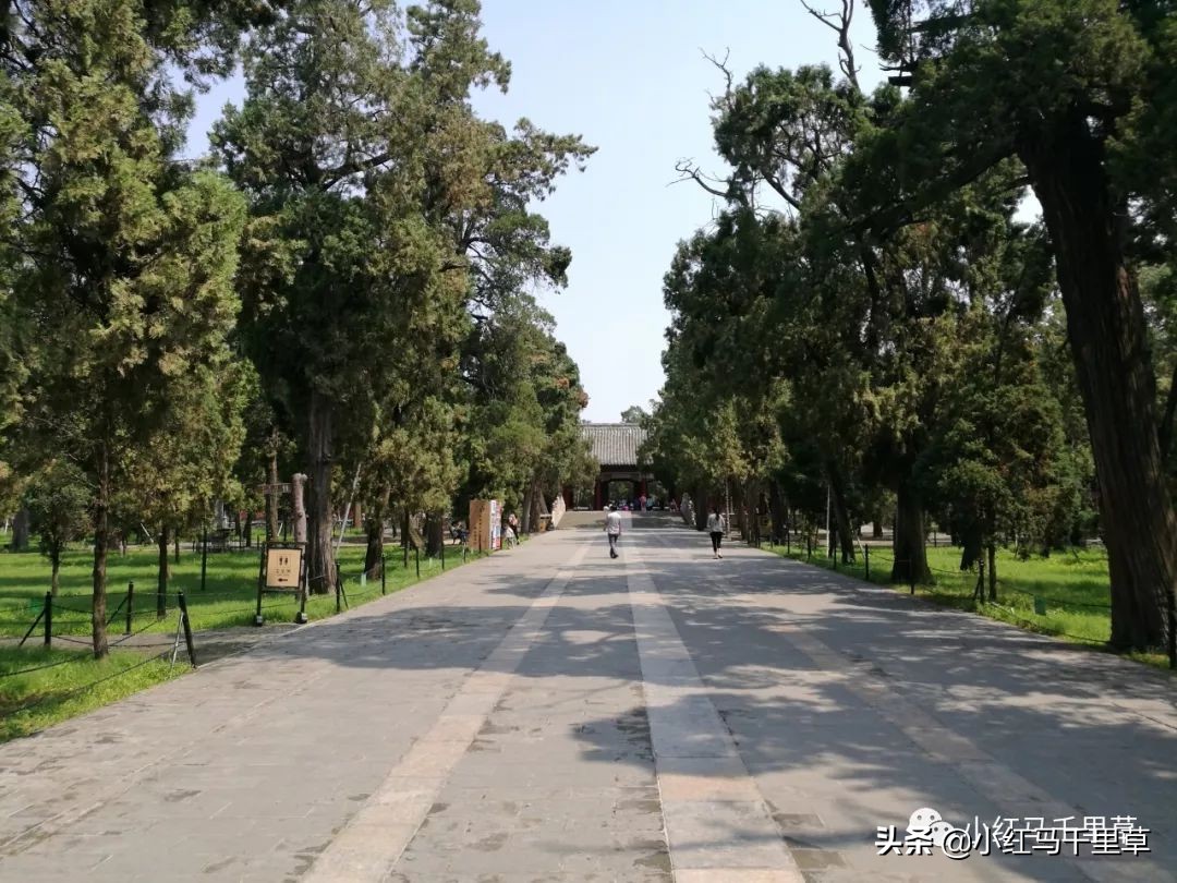 世界文化遗产曲阜孔庙孔林孔府,中国的世界文化遗产曲阜孔庙