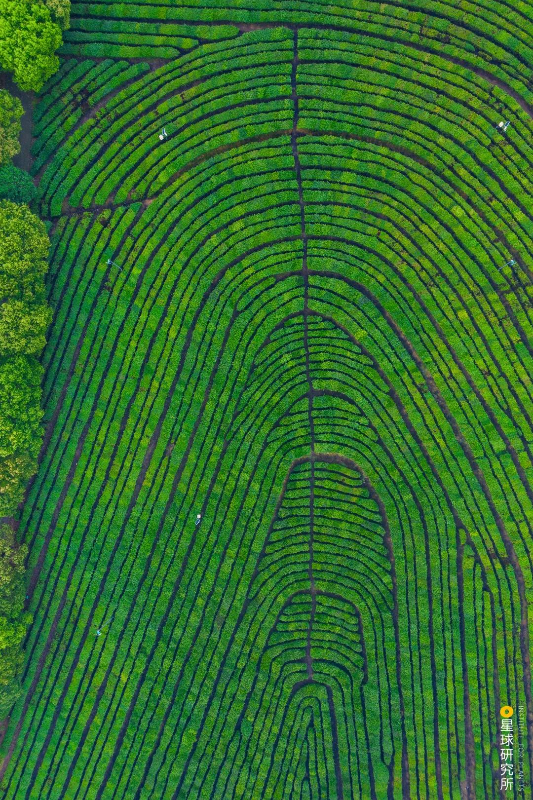 南京高淳区哪个地方好,南京高淳值得去的风景区免费