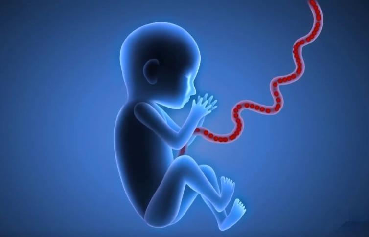 人造子宫实现让人类复活,人类能接受人造子宫吗