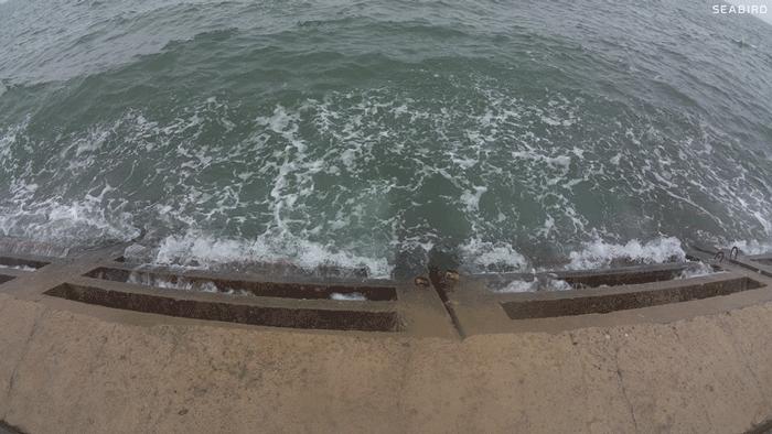 水下摄影4k,海鸟4k运动相机深度评测