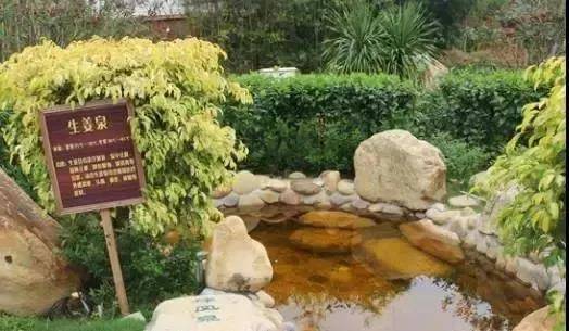 「冬来临·醉温泉」新装怡情谷主楼高级房，早晚2餐+泡38个温泉池