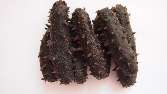 吃不完的海参如何保存,煮熟的海参放冰箱冷冻能保存吗