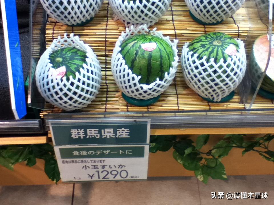 日本人为什么喜欢中国人,日本人为何喜欢美国