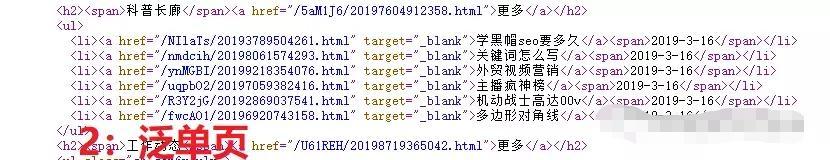黑帽子必学技术,黑帽技术
